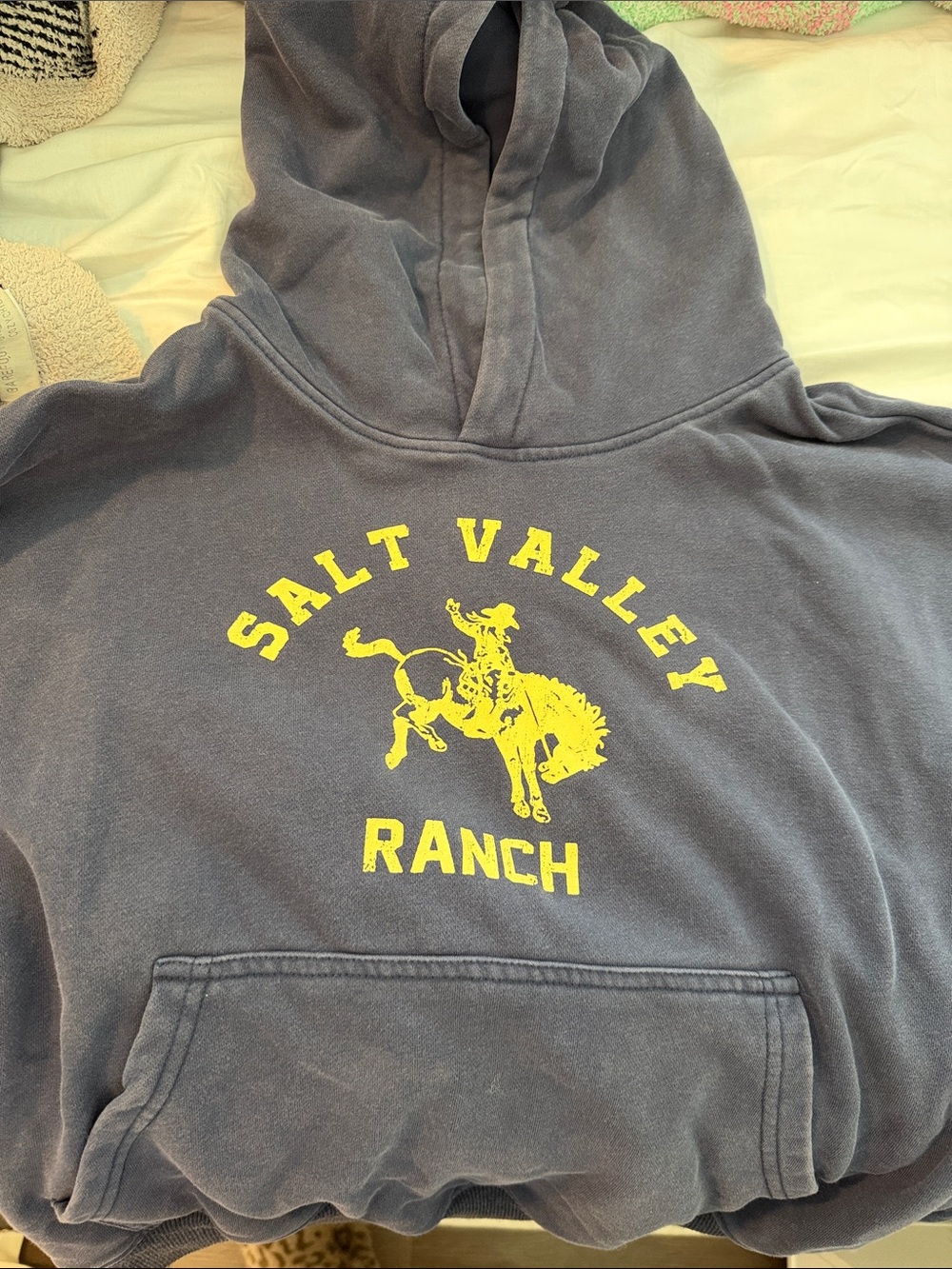 Salt Valley Ranch Milkstain Hoodie